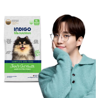 인디고 유기농 70% 면역 앤 관절 강아지 사료, 생선, 2kg, 1개